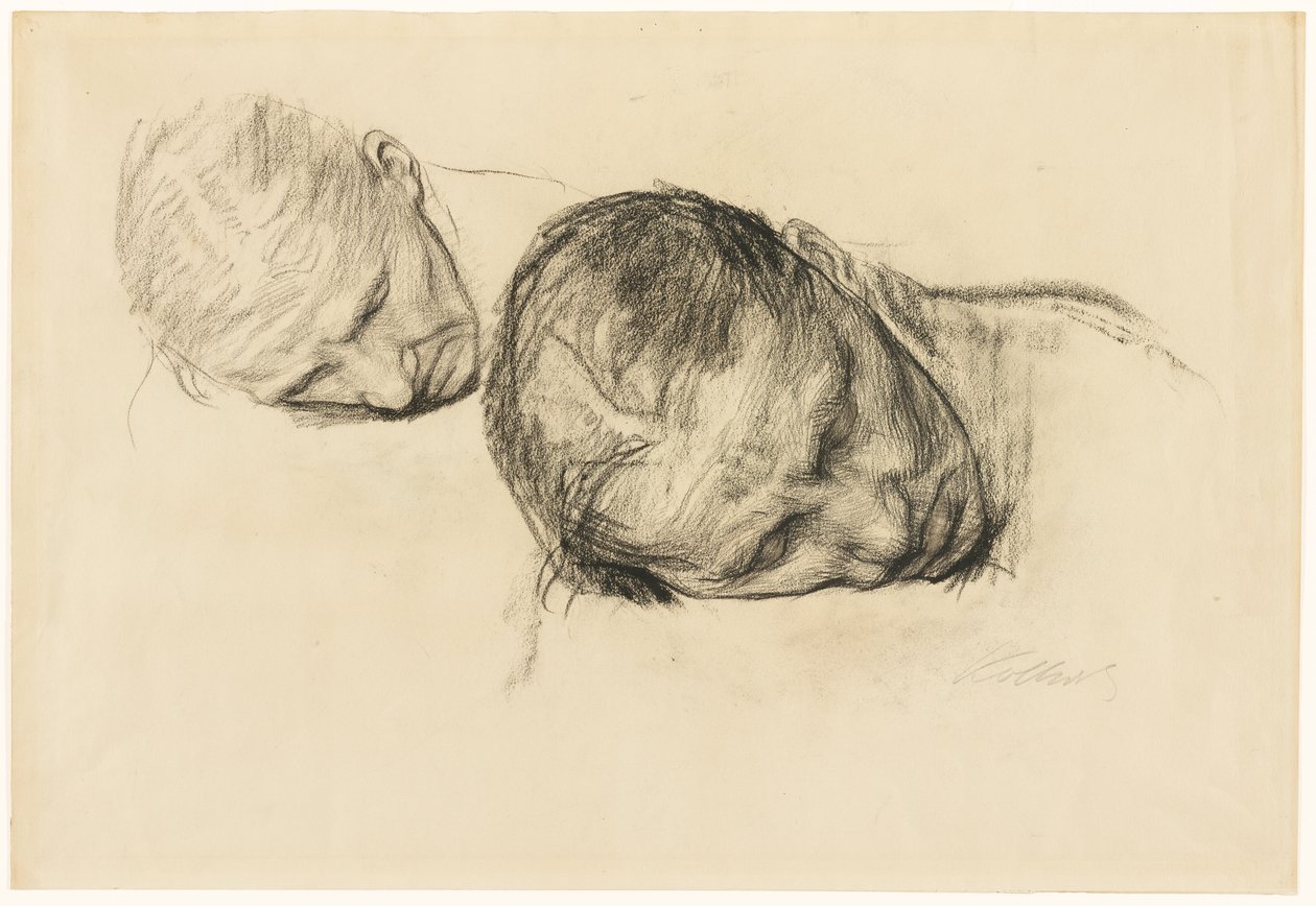 Due studi della testa di una donna da Käthe Kollwitz