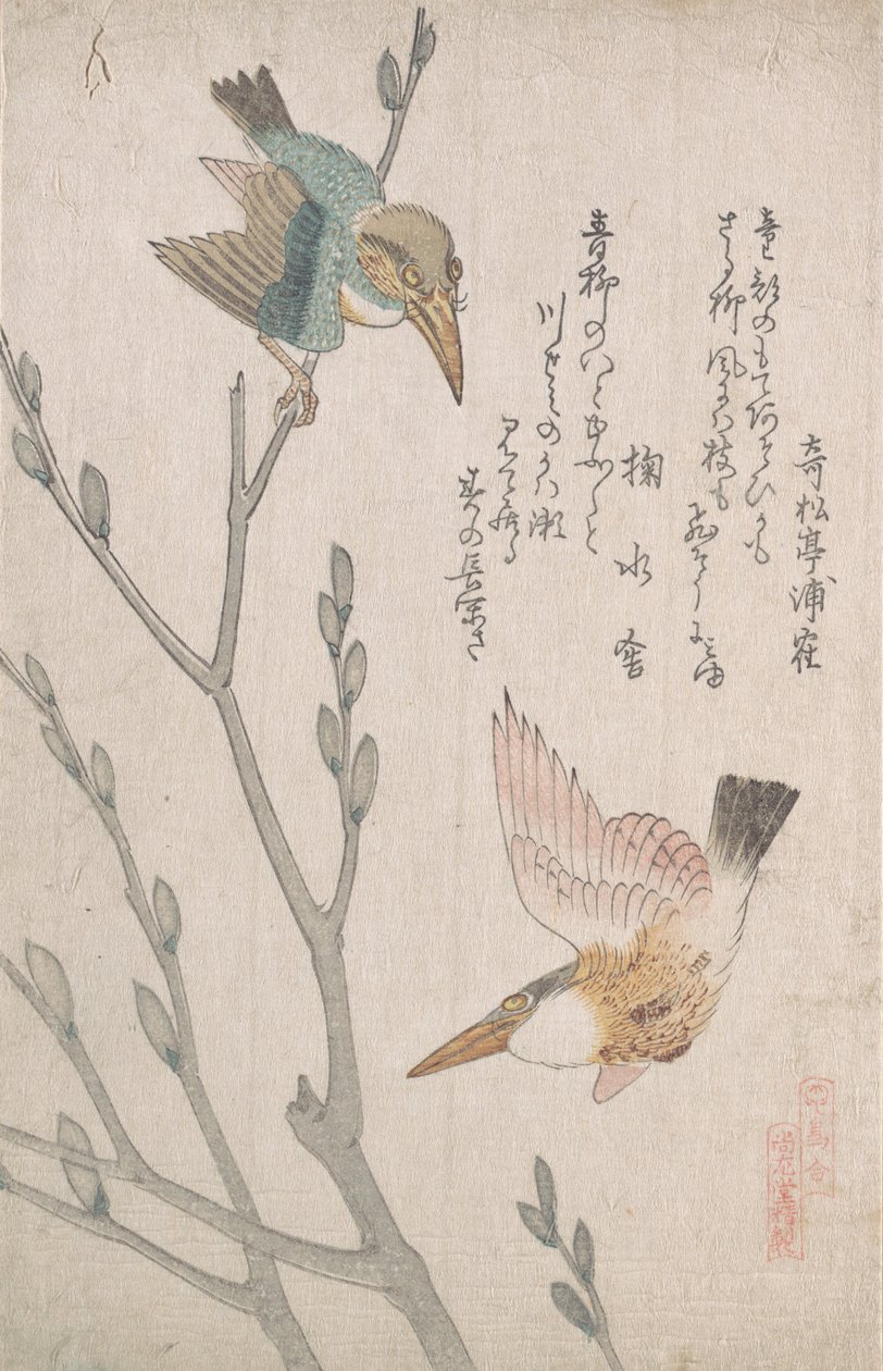 Martin pescatori e salice, XIX secolo da Kubo Shunman