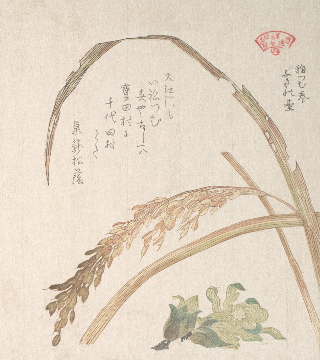 Pianta di riso e farfara, XIX secolo da Kubo Shunman