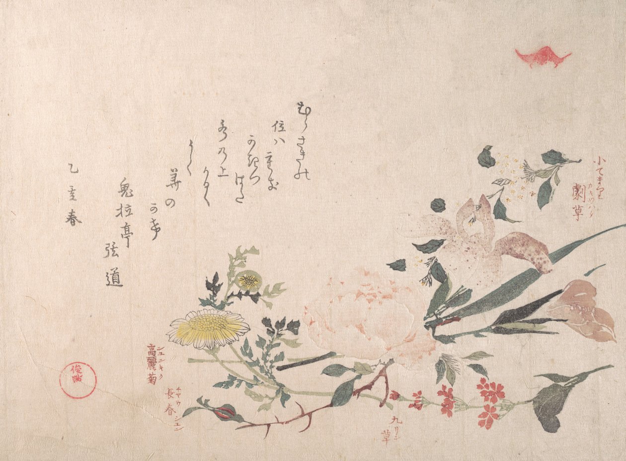 Rosa, iris, primula e margherita, 1815 da Kubo Shunman