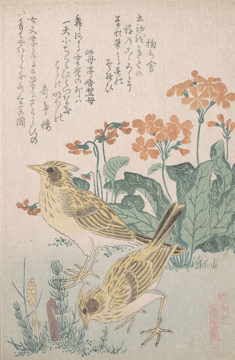 Allodole e primule, ca. 1805-10 da Kubo Shunman