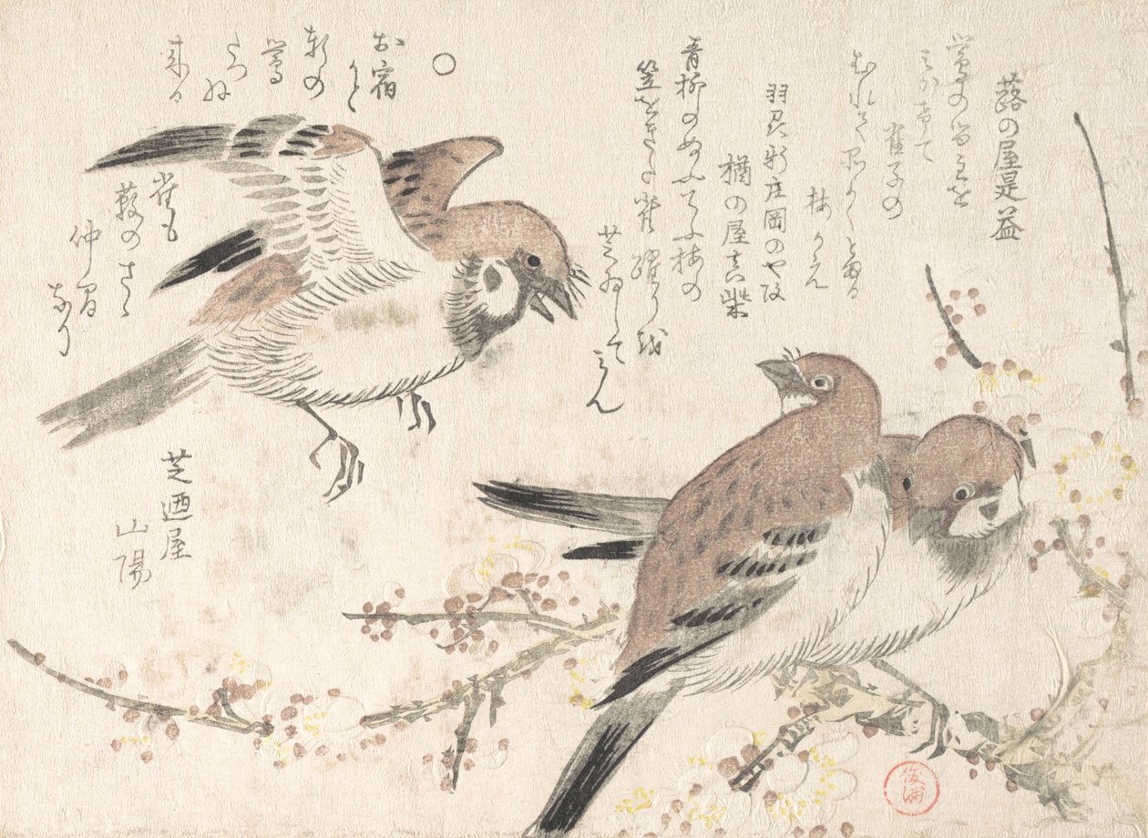Passeri e fiori di prugno, XIX secolo da Kubo Shunman