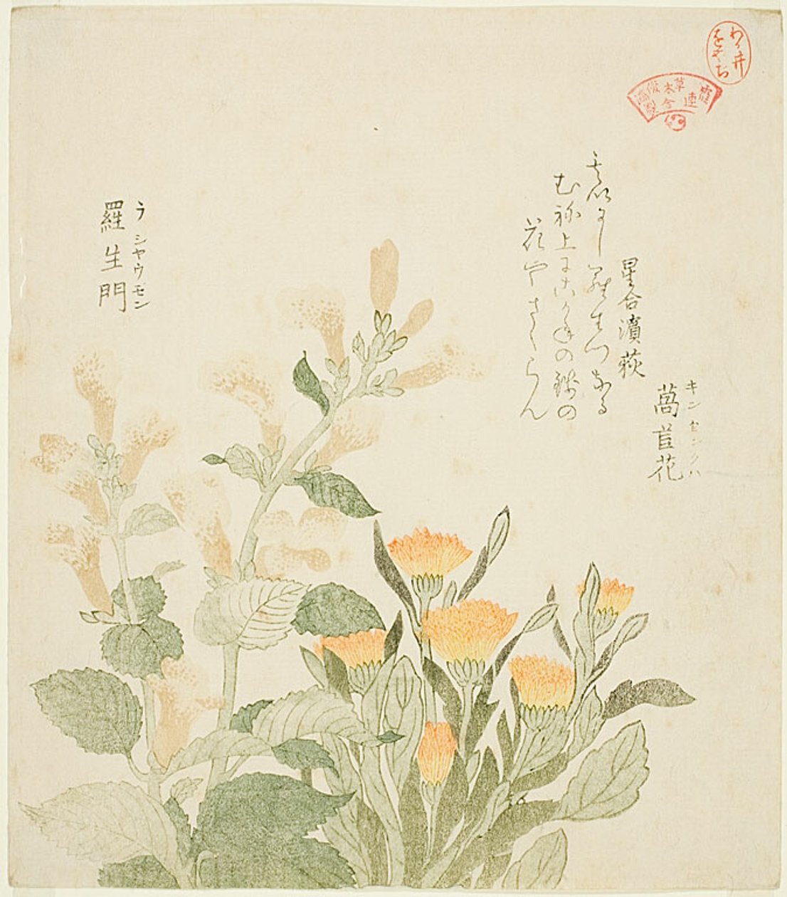 La calendula comune e i fiori di Rajoman da Kubo Shunman