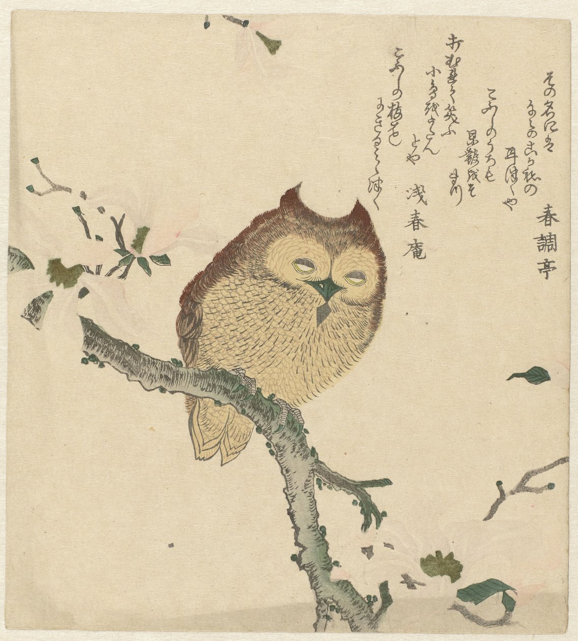 Gufo su un ramo di magnolia da Kubota Shunman