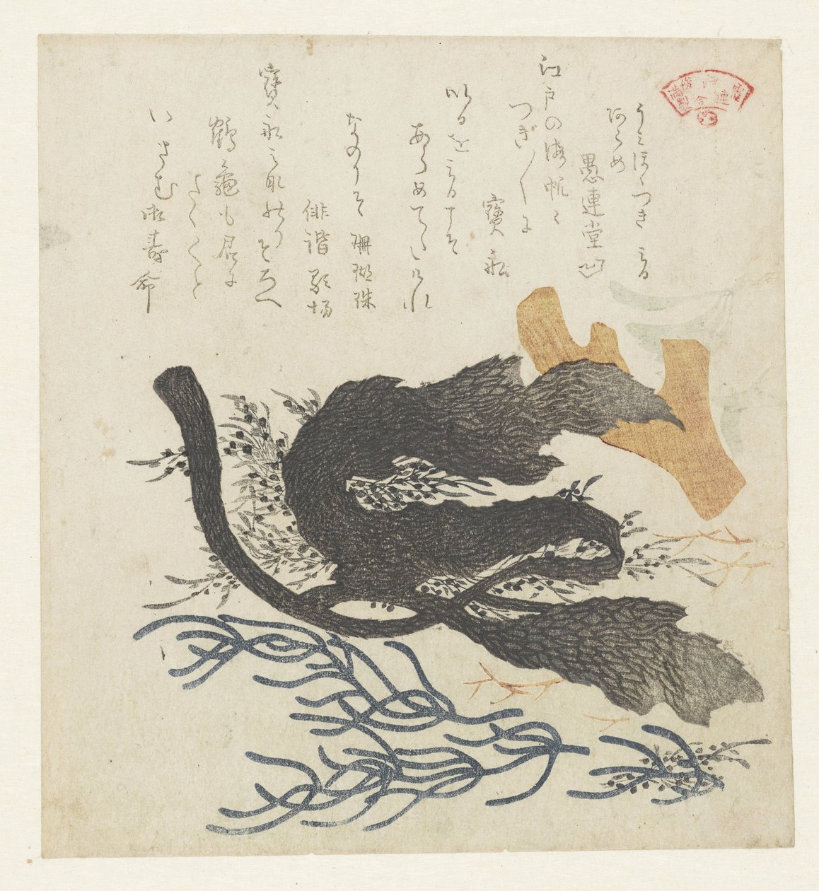 Alghe da Kubota Shunman
