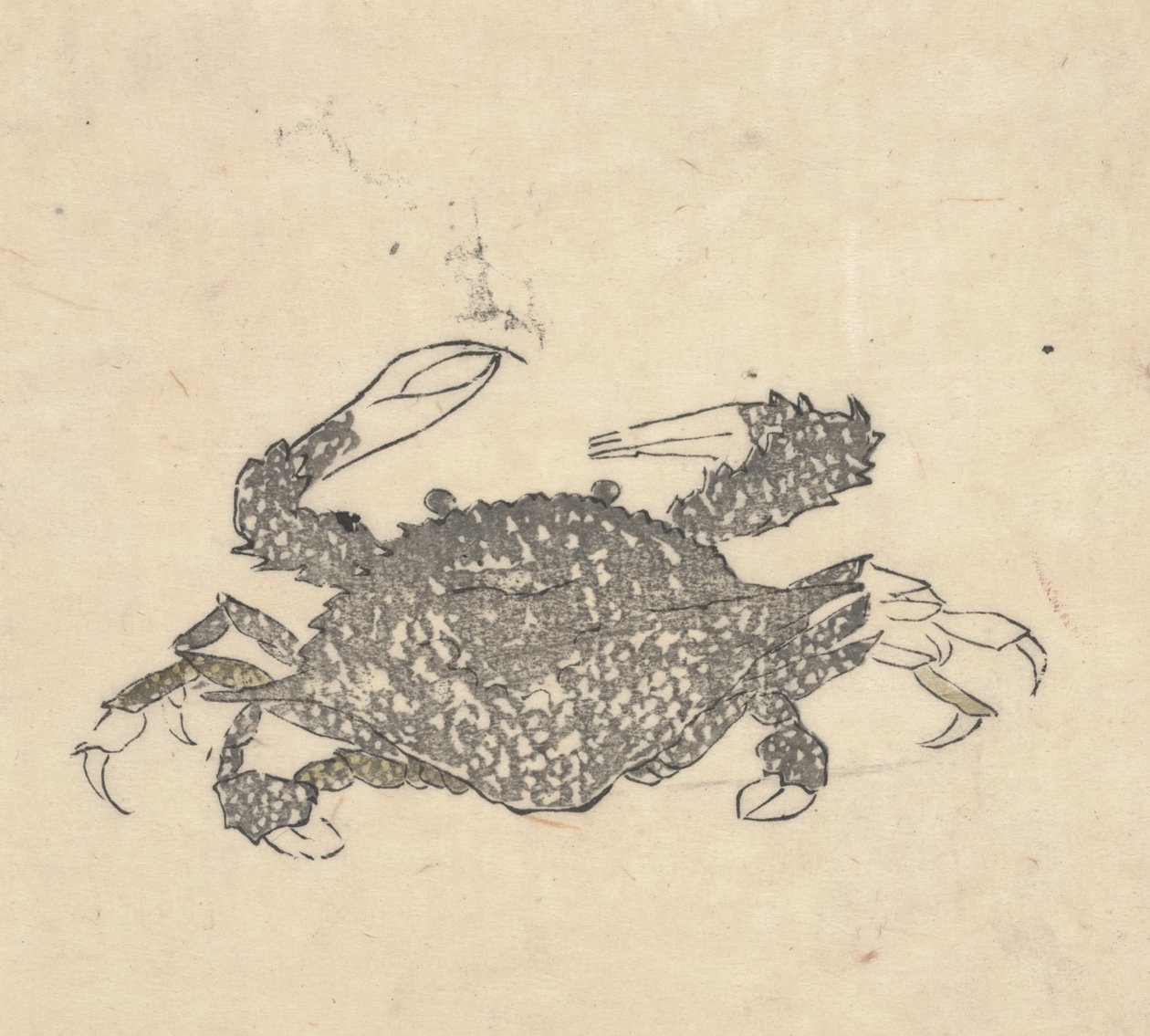 Granchio (xilografia) da Kuwagata Keisai