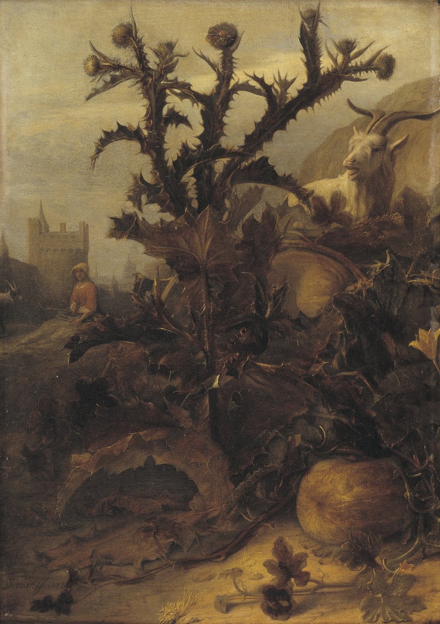 Cardo, zucca e una capra da Lambert Doomer