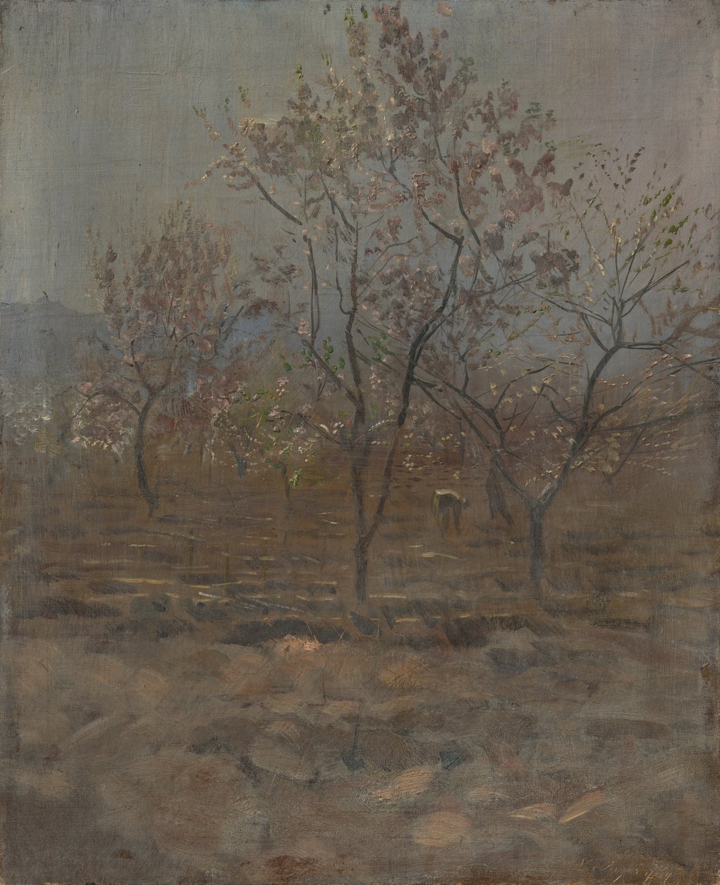 Alberi in fiore da Laszlo Mednyanszky