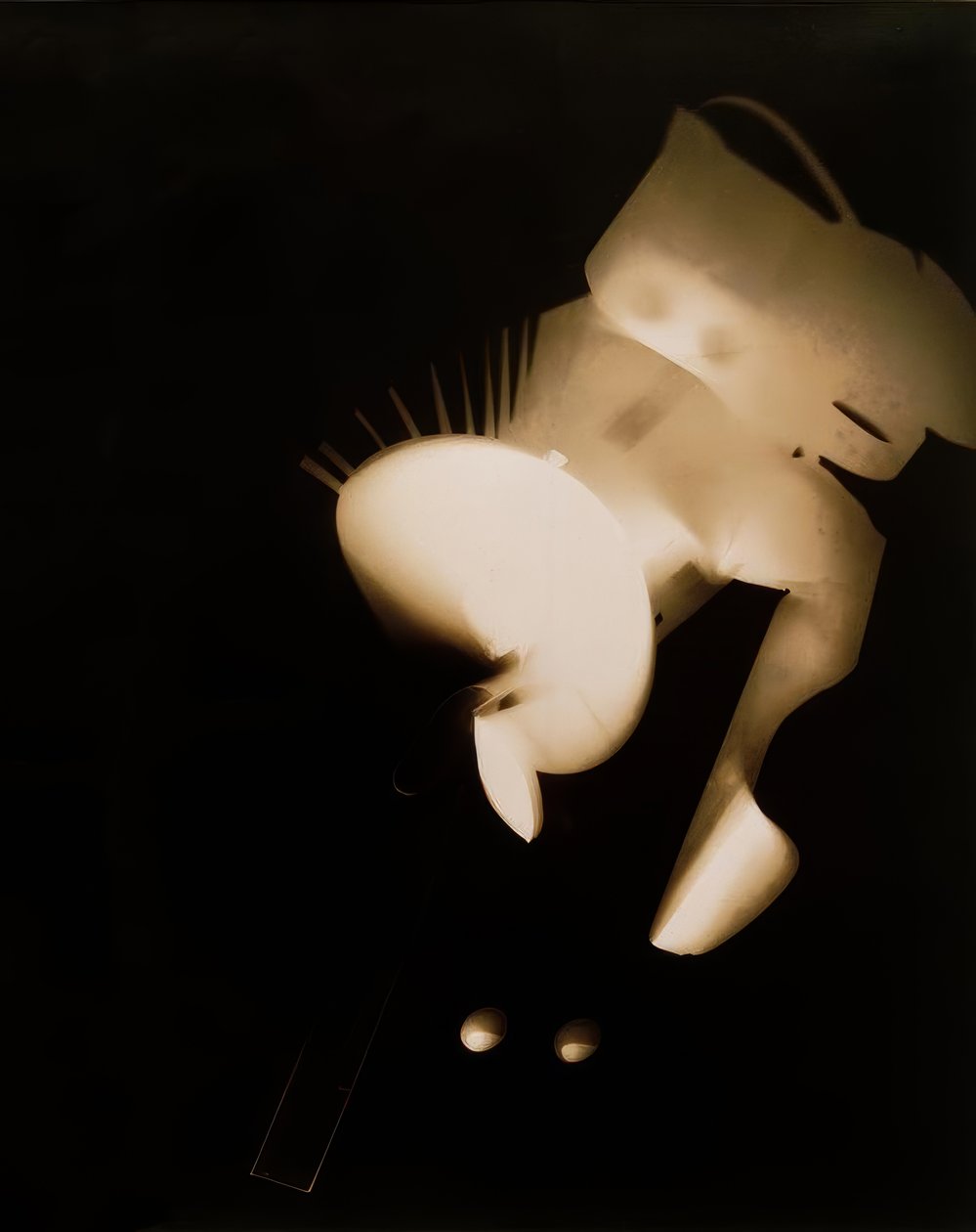Senza Titolo da Laszlo Moholy Nagy