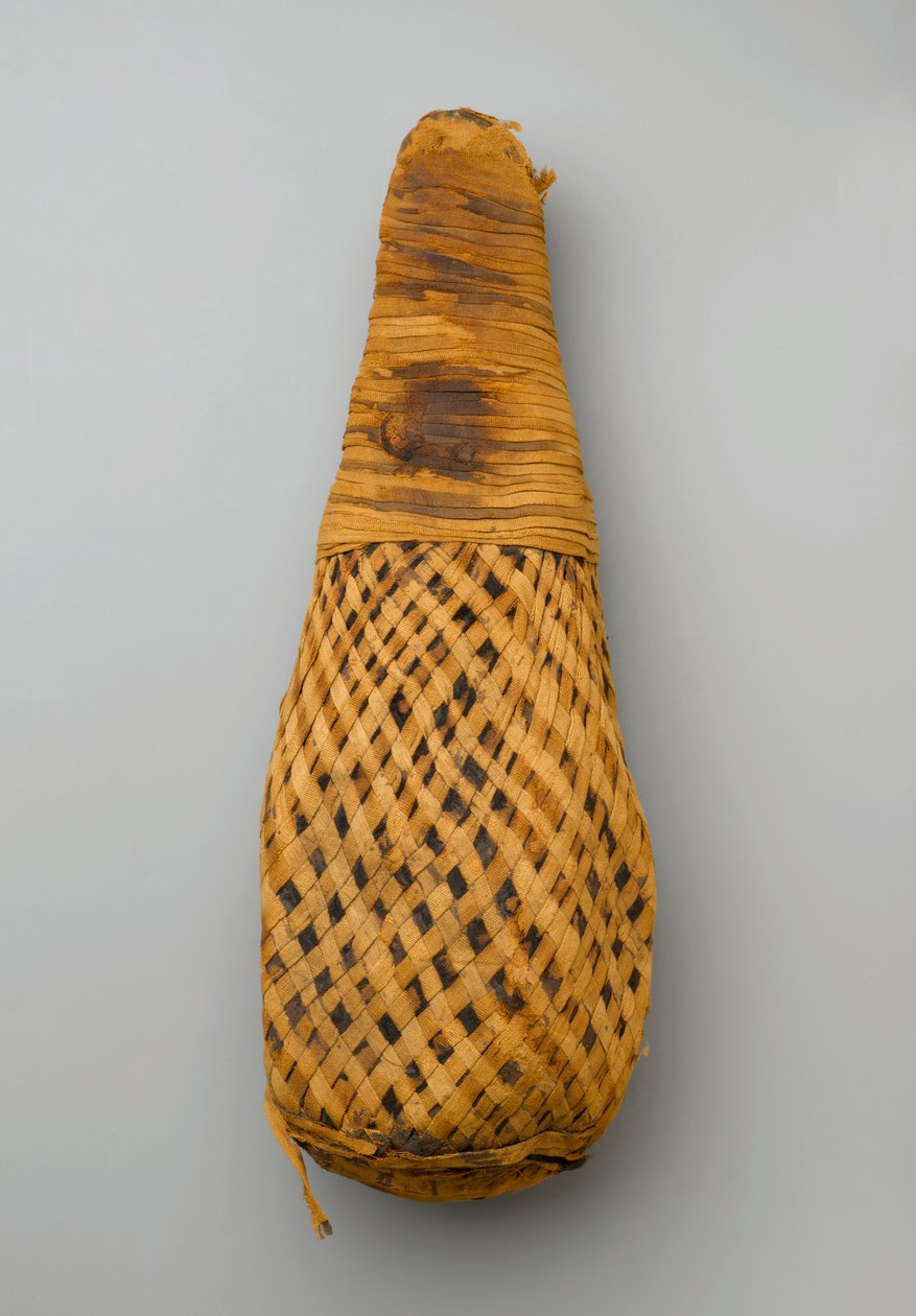 Mummia di un ibis, 664-332 a.C. da Late Period Egyptian