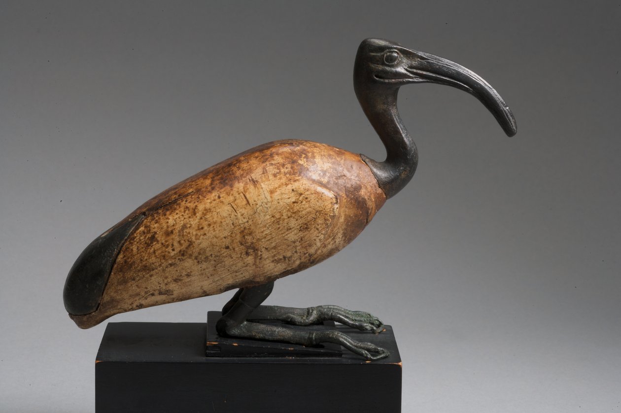 Ibis da Late Period Egyptian