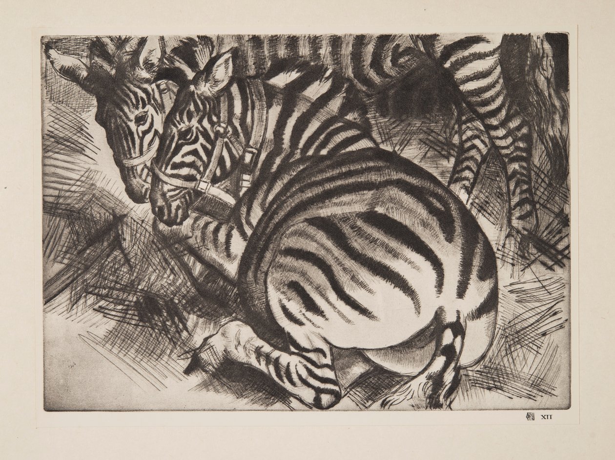 Zebre (pub. 1930) da Laura Knight