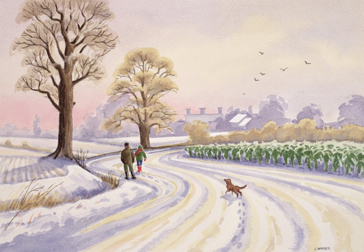 Passeggiata nella neve da Lavinia Hamer