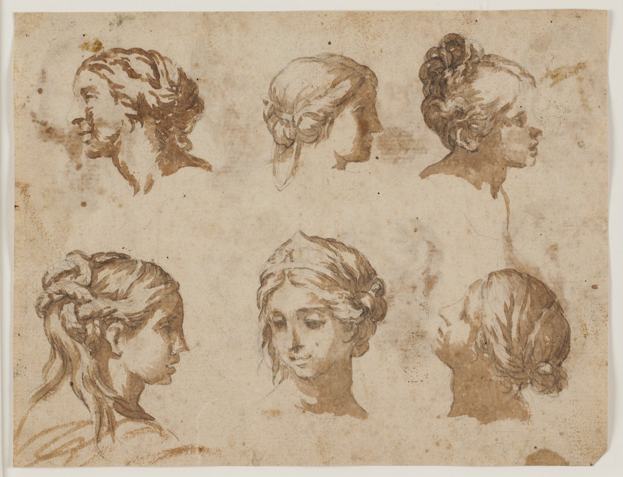 Sei studi di teste femminili da Lazzaro Baldi