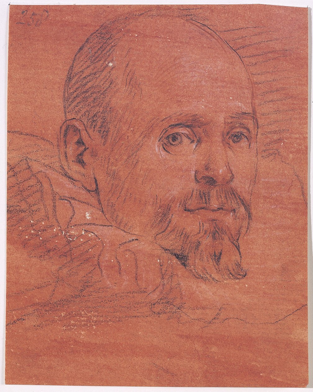 Ritratto di uomo da Lazzaro Tavarone