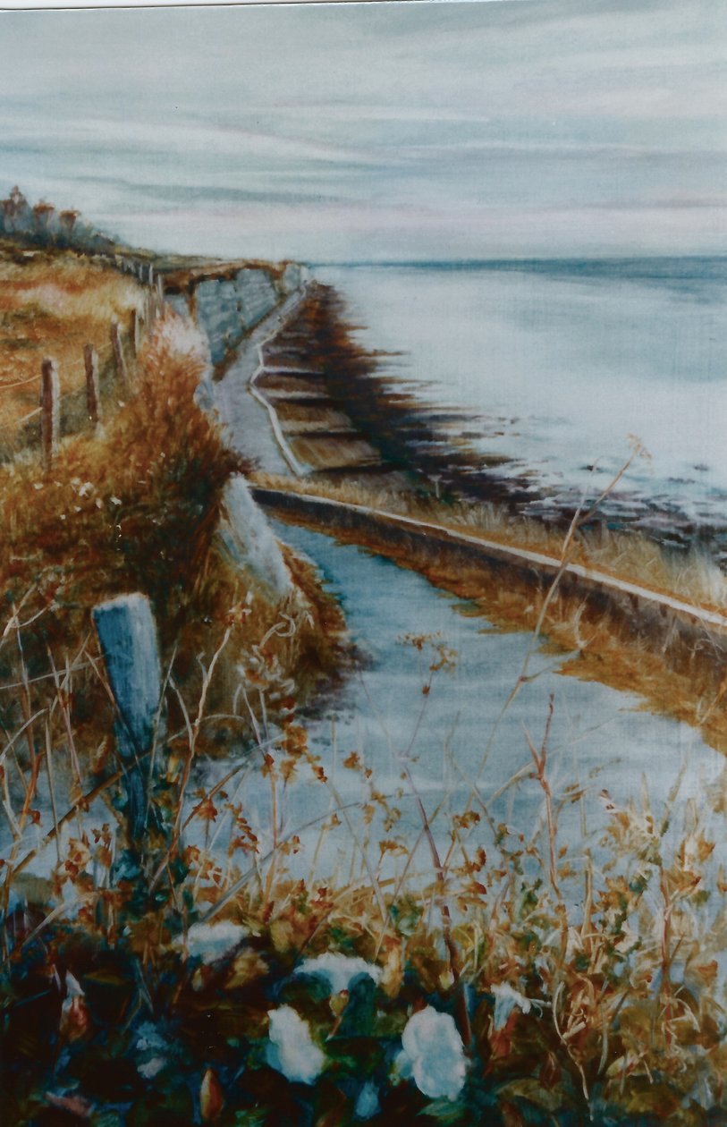 Brighton Morning Glory, 2000 da Lee Campbell