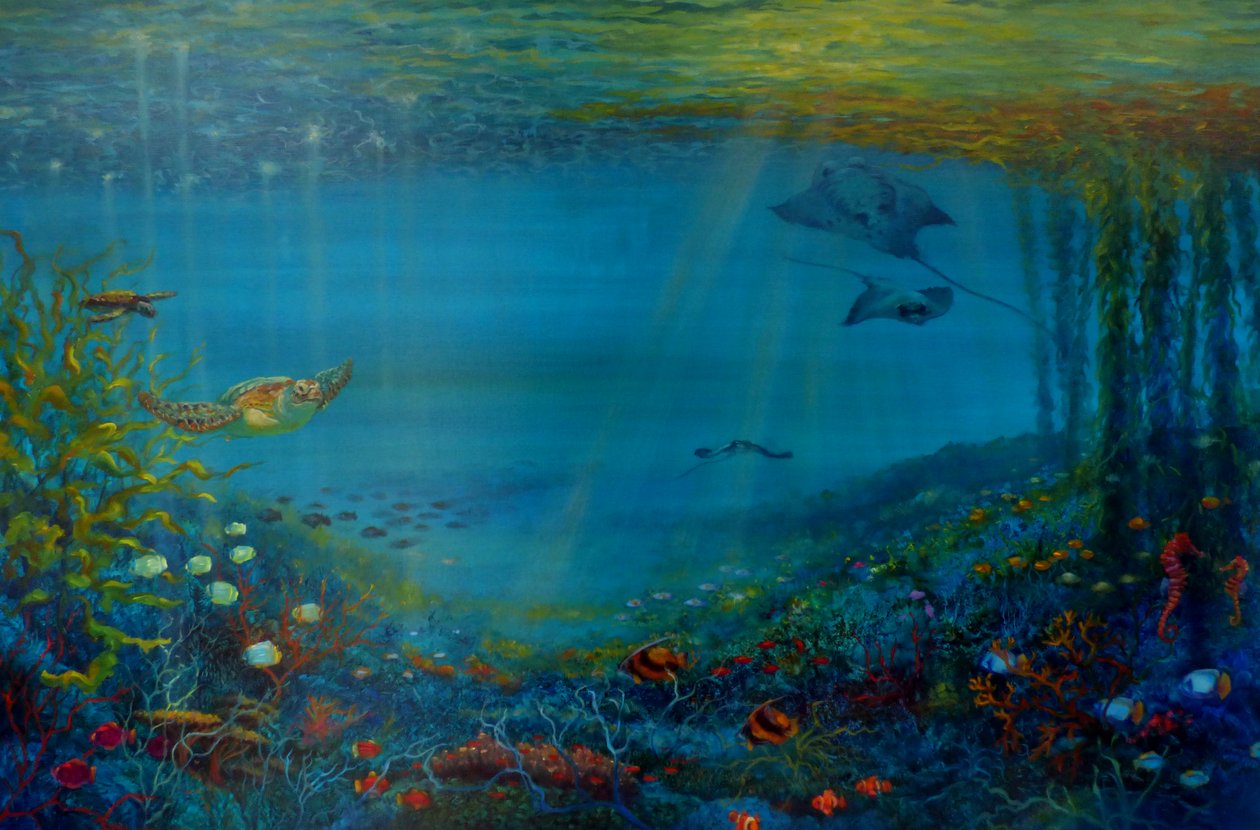Barriera Corallina da Lee Campbell