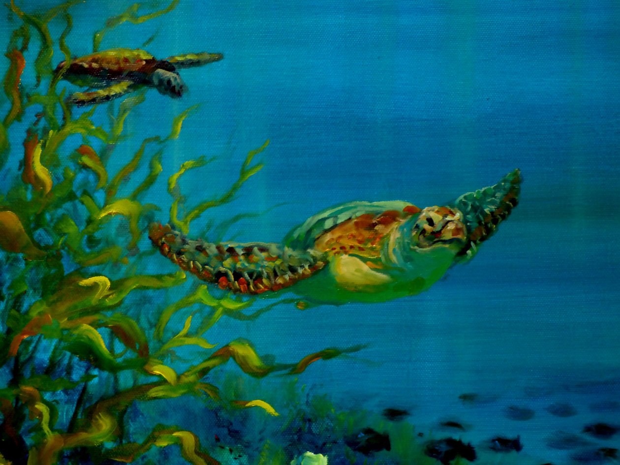 Tartaruga verde, 2018 da Lee Campbell