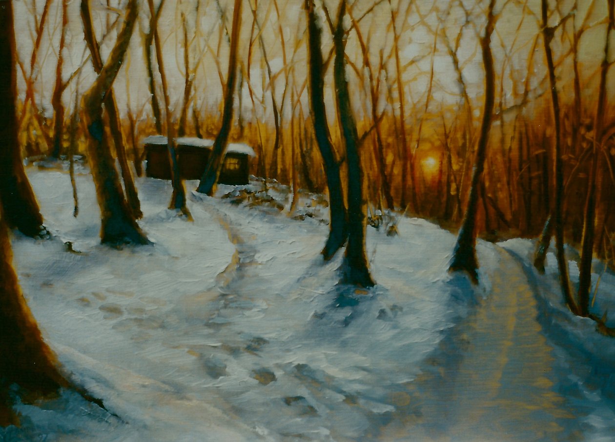 Boschi innevati 2002 Tramonto da Lee Campbell