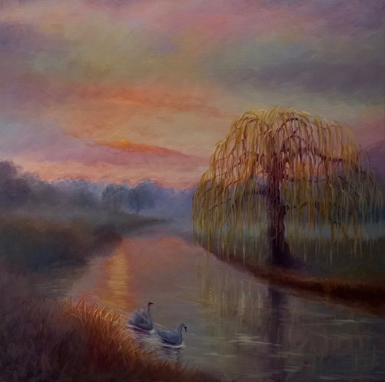 Alba nebbiosa, Parco Bushy, 2024 da Lee Campbell