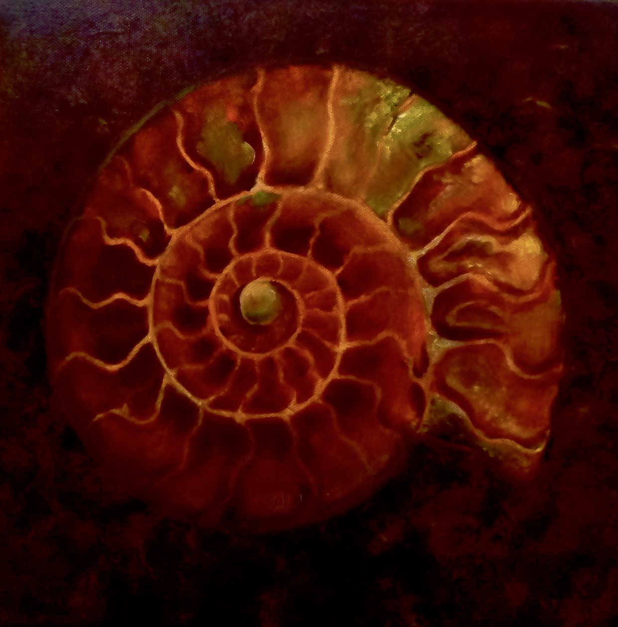 Ammolite rosso/oro, 2020 da Lee Campbell