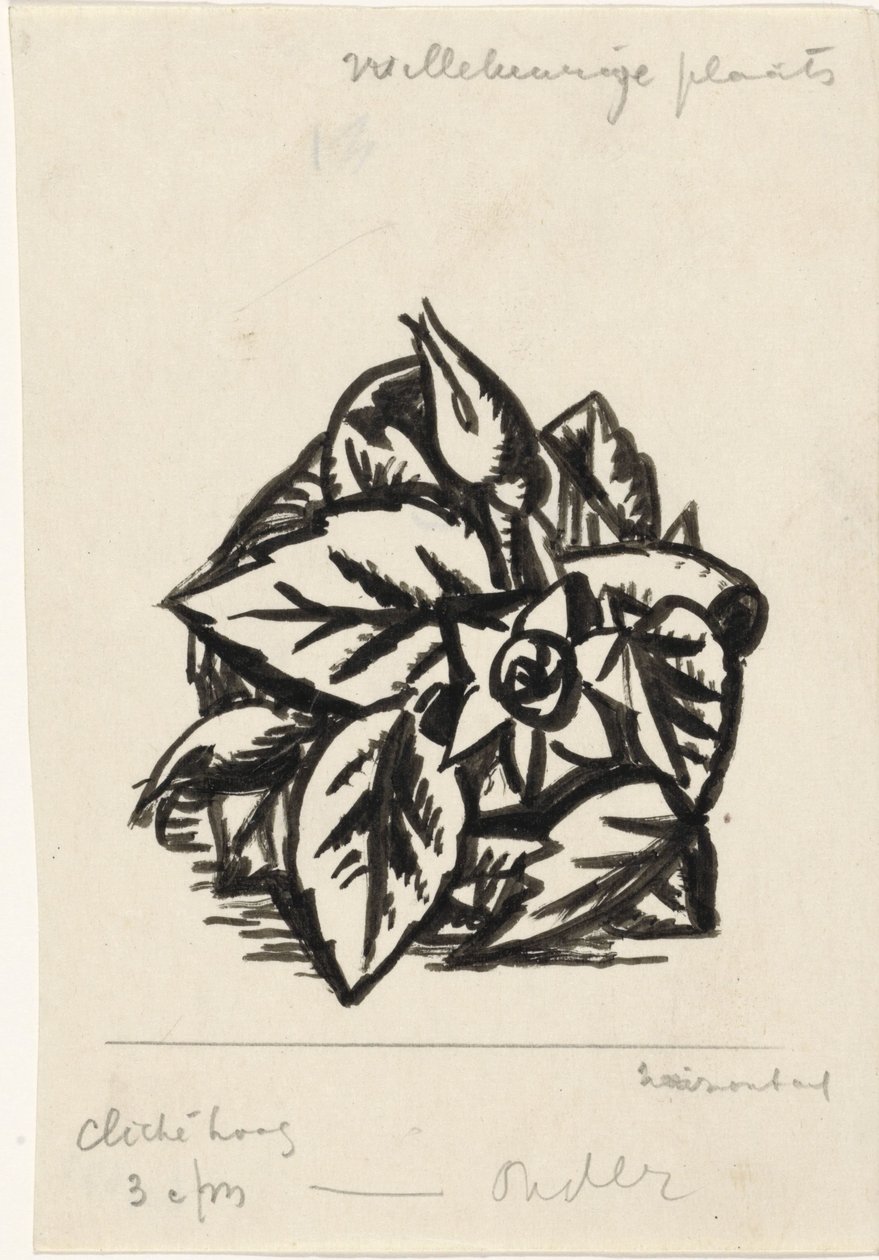 Fiori da Leo Gestel