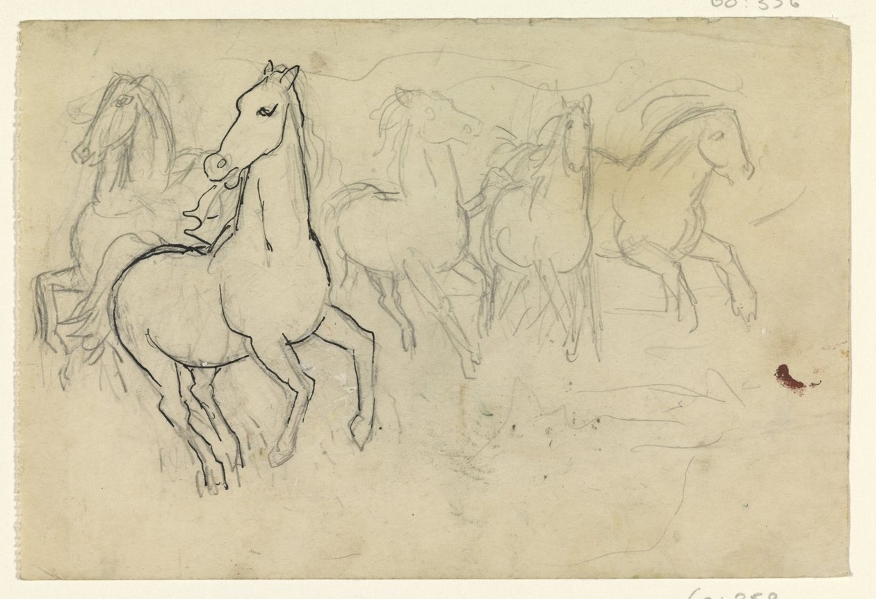 Cavalli al galoppo da Leo Gestel