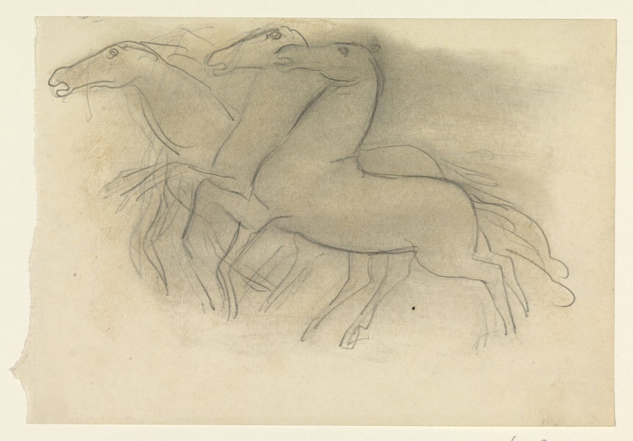 Cavalli al galoppo da Leo Gestel