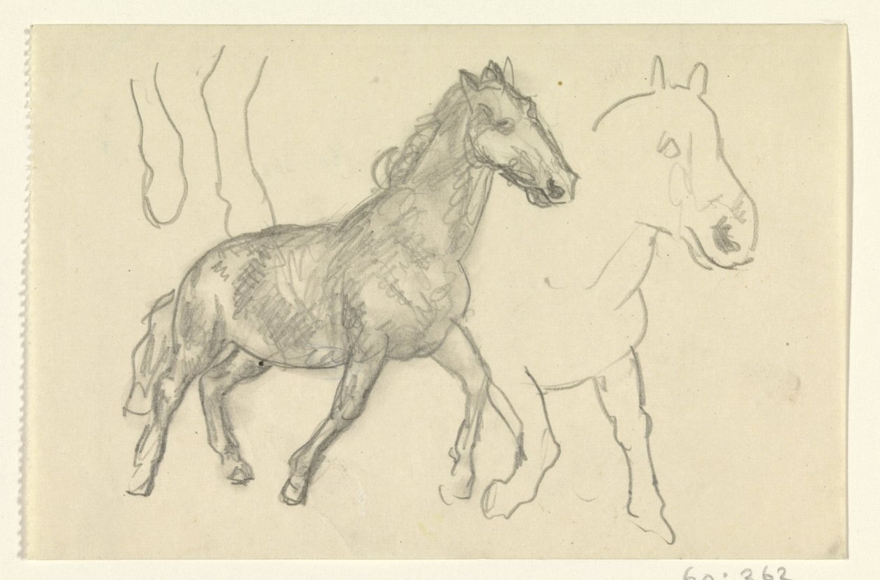 Due cavalli al passo da Leo Gestel
