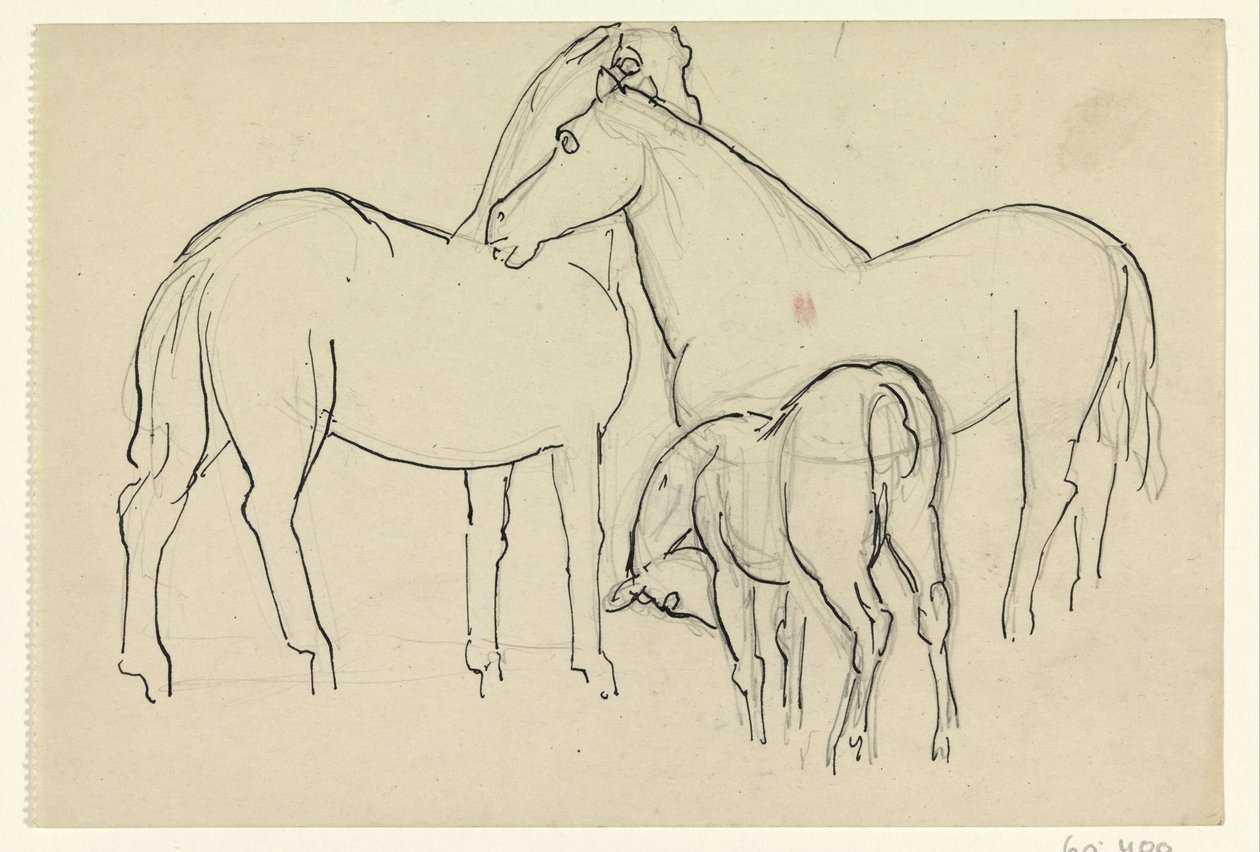 Due cavalli e un puledro da Leo Gestel