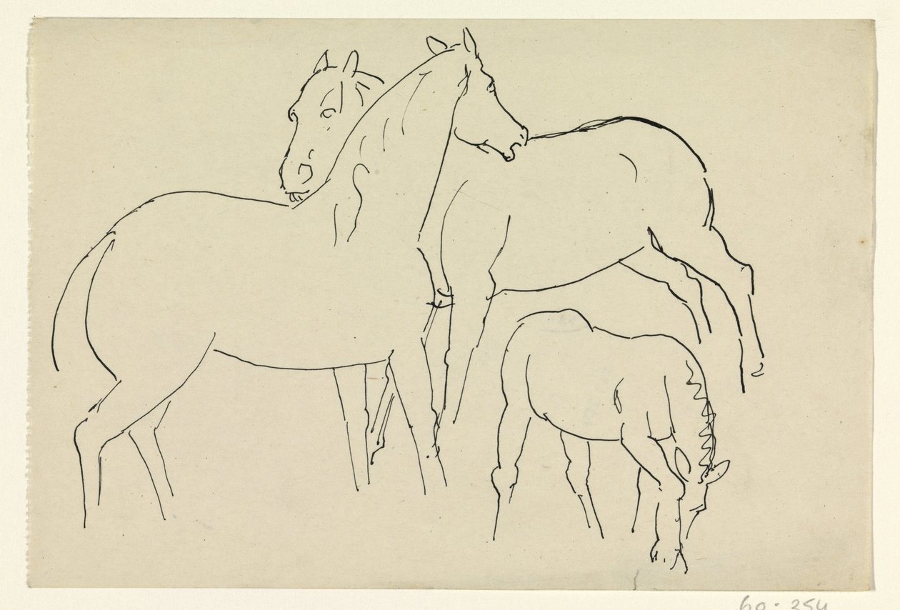 Due cavalli e un puledro da Leo Gestel