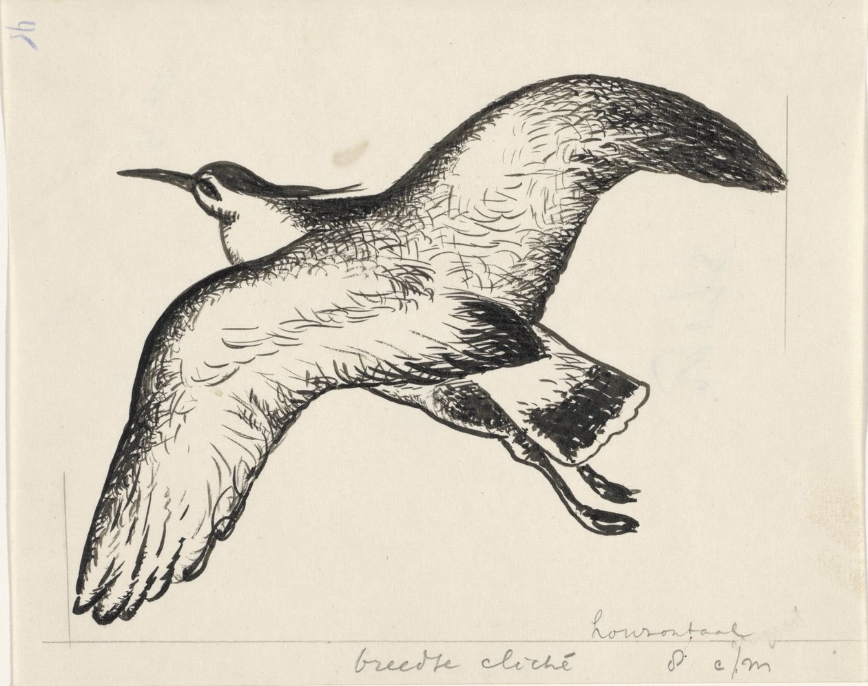 Uccello in volo da Leo Gestel