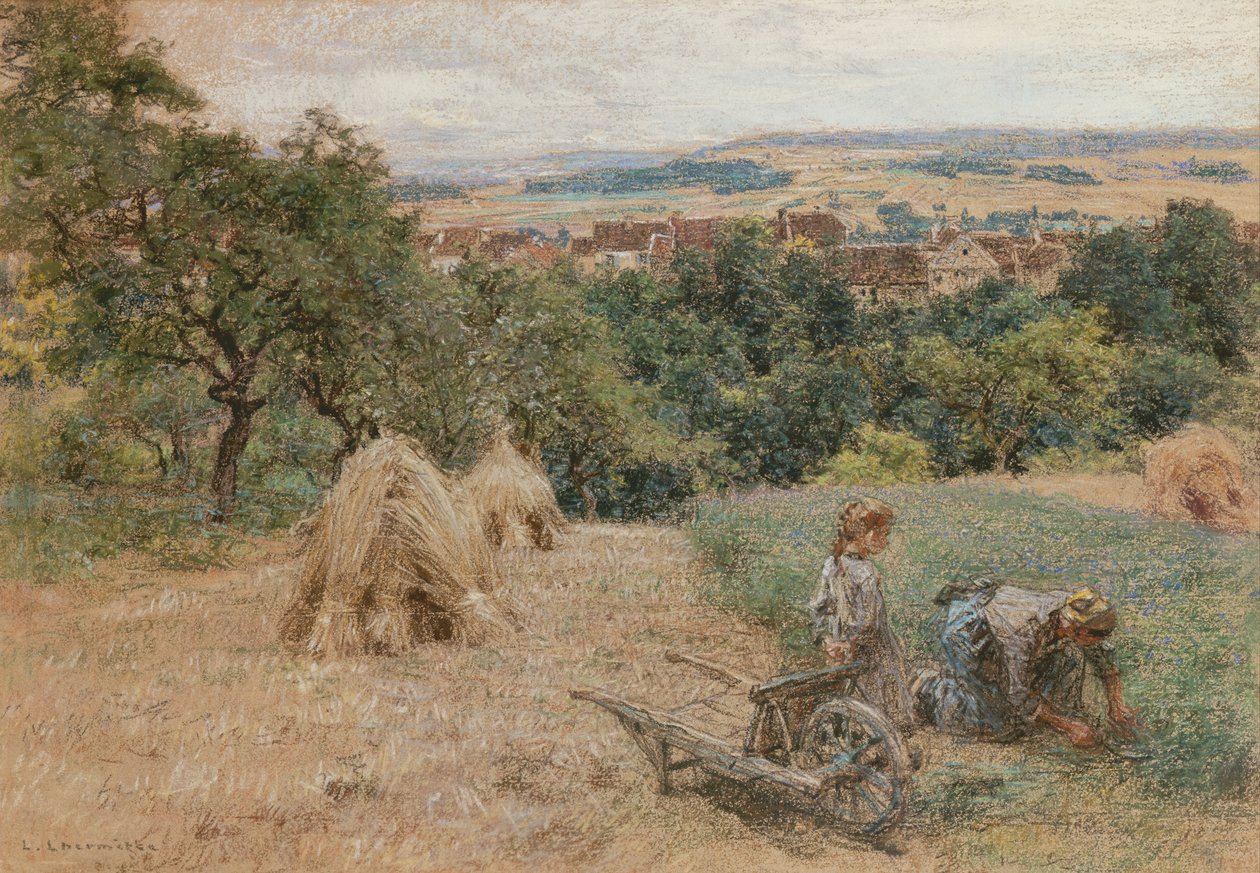 Taglio dell