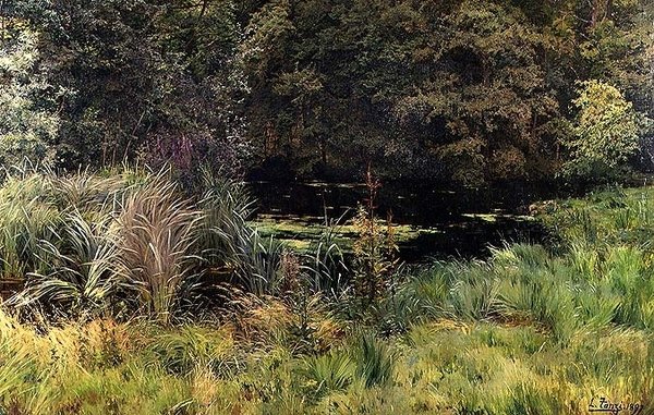 Paesaggio con canne da Leon Louis Tanzi