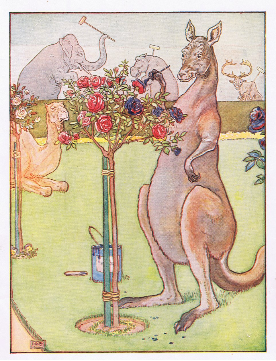 E il canguro cercò di dipingere le rose di blu, illustrazione da 
