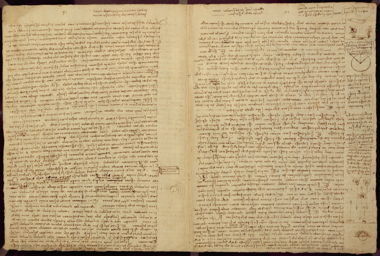Una pagina dal Codice Leicester, 1508-12 da Leonardo da Vinci