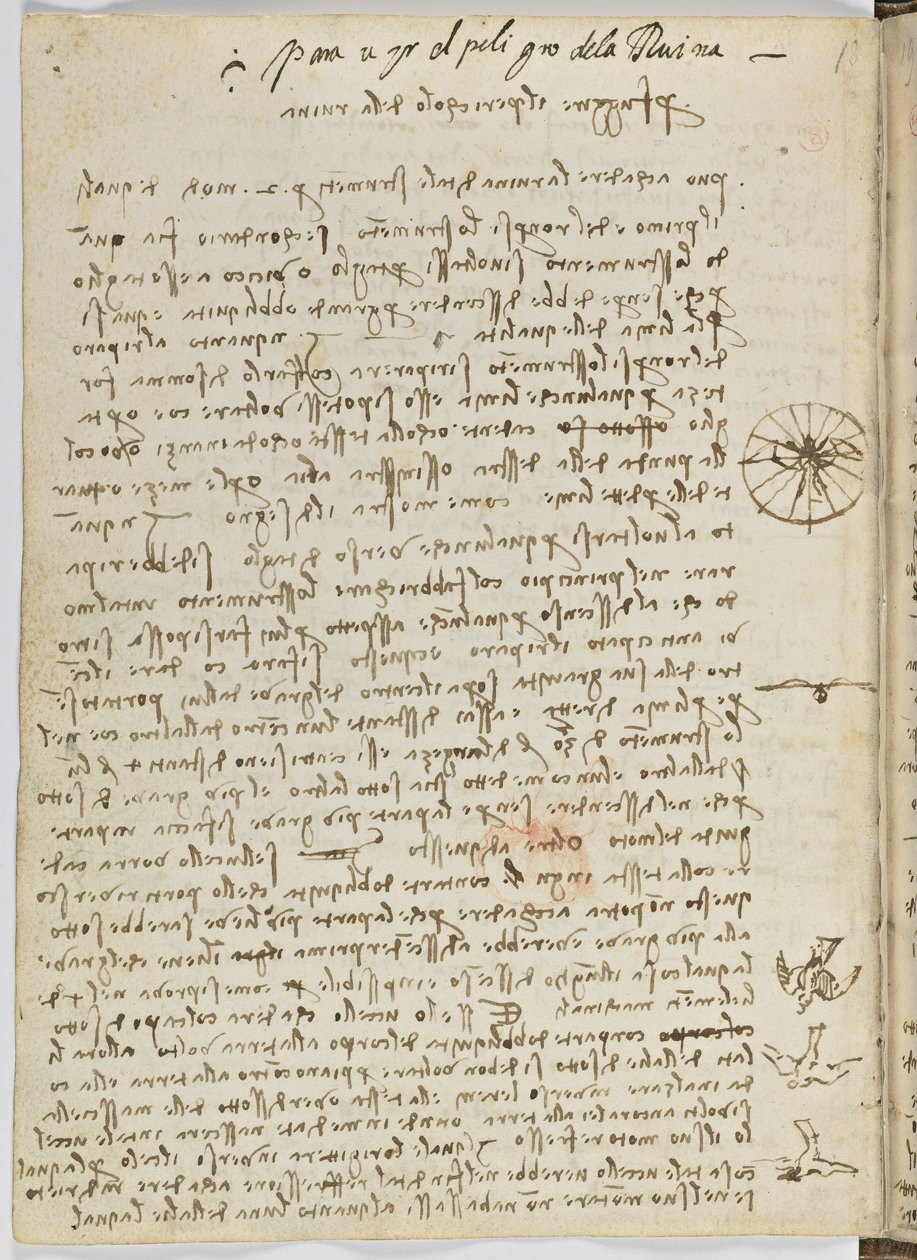 Codice sul volo degli uccelli, c. 1505-06, manoscritto su carta, cc. 18, foglio 12 verso da Leonardo da Vinci