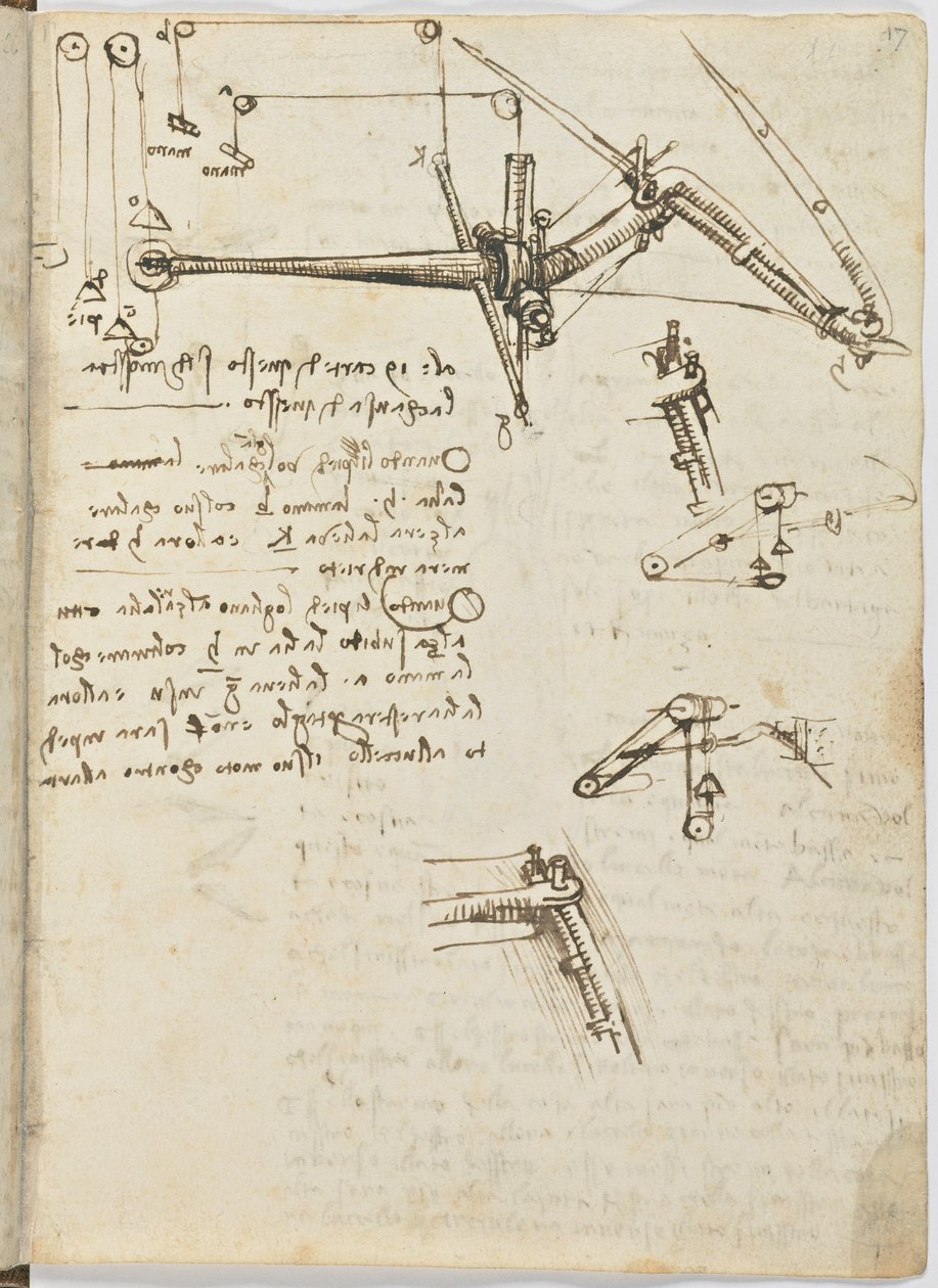 Codice sul volo degli uccelli, c. 1505-06, manoscritto su carta, cc. 18, foglio 17 recto da Leonardo da Vinci