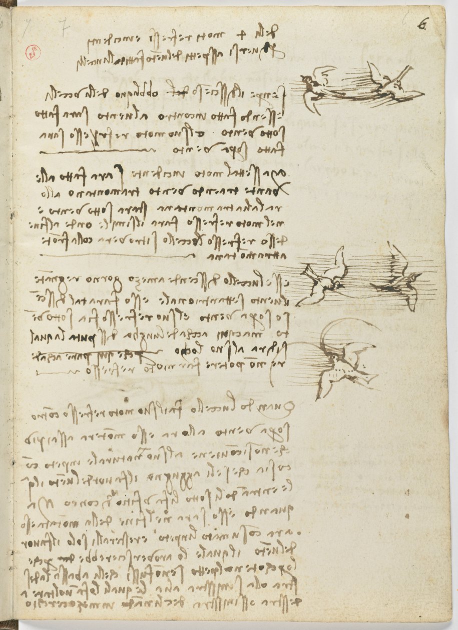 Codice del volo degli uccelli da Leonardo da Vinci