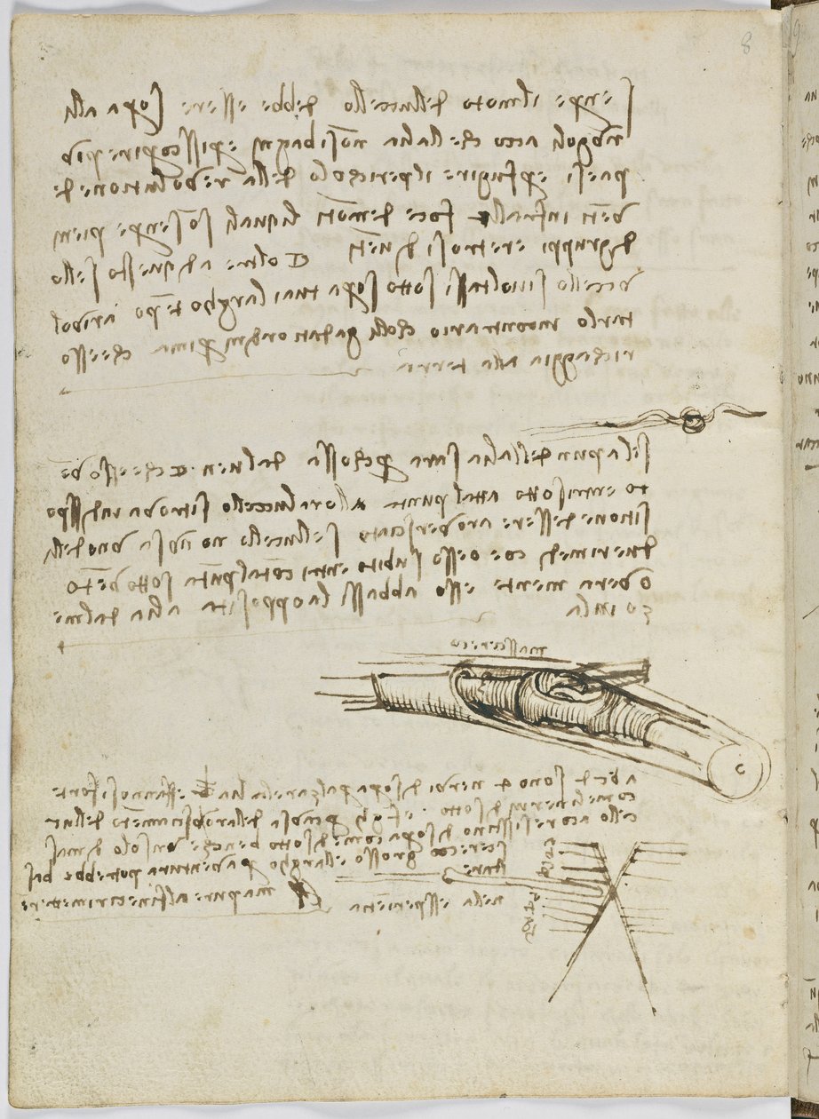Codice sul volo degli uccelli, c. 1505-06, manoscritto su carta, cc. 18, foglio 6 verso da Leonardo da Vinci