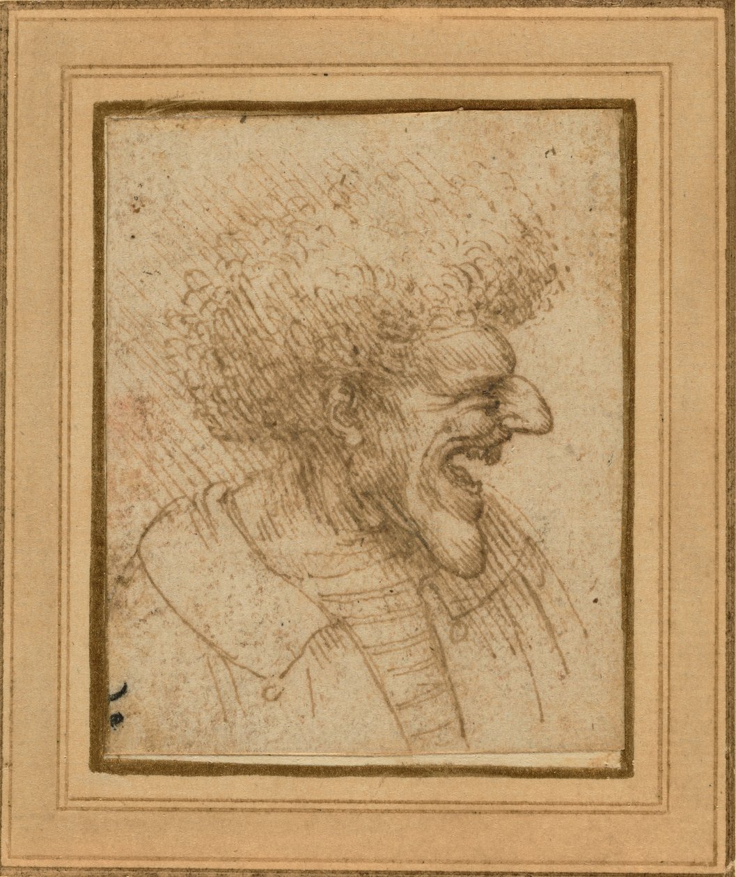 Caricatura di un uomo con capelli folti, c.1495 da Leonardo da Vinci