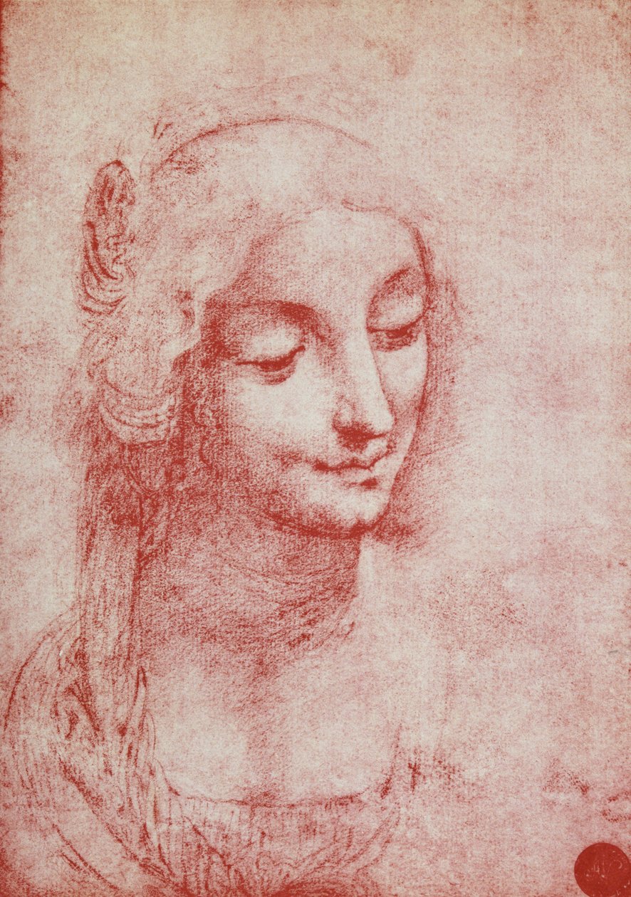Testa di una donna da Leonardo da Vinci