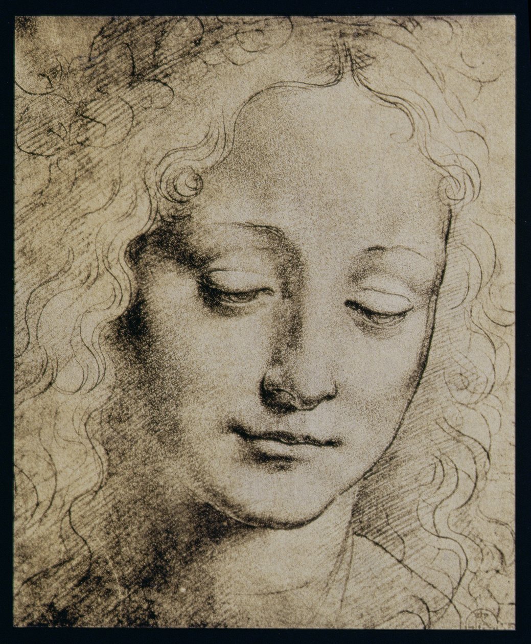 Testa di una giovane ragazza da Leonardo da Vinci