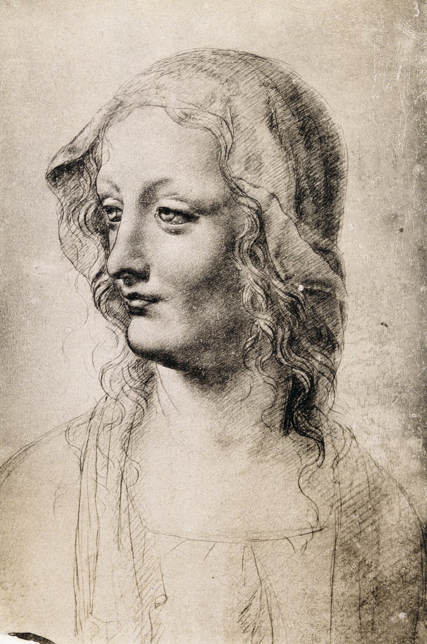 Testa di una giovane donna da Leonardo da Vinci
