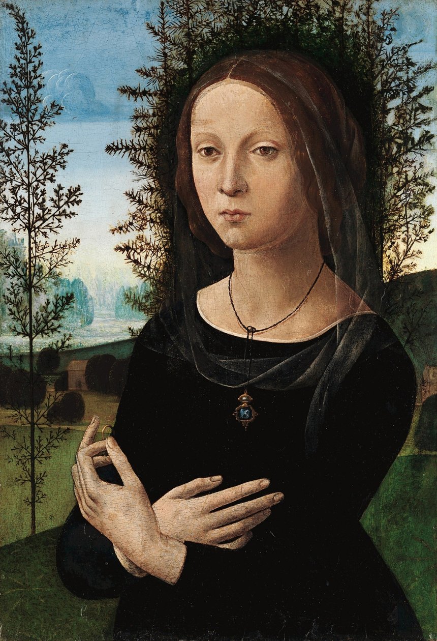Ritratto di una giovane donna da Leonardo da Vinci