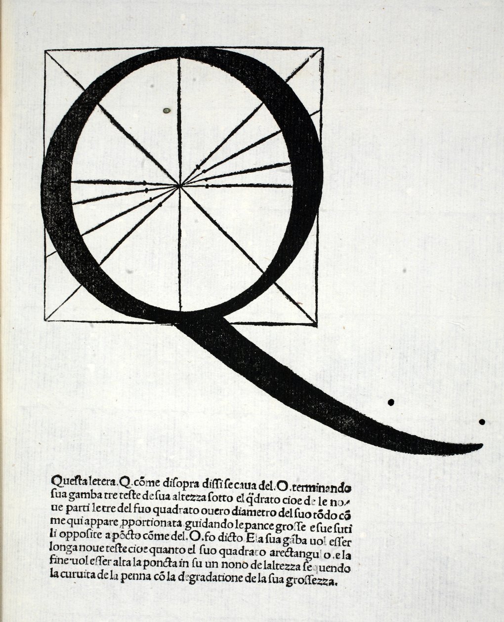 Q, illustrazione da 