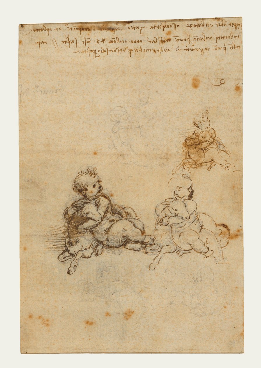 Studi per il Bambino Gesù con un agnello, c.1503-1506 da Leonardo da Vinci