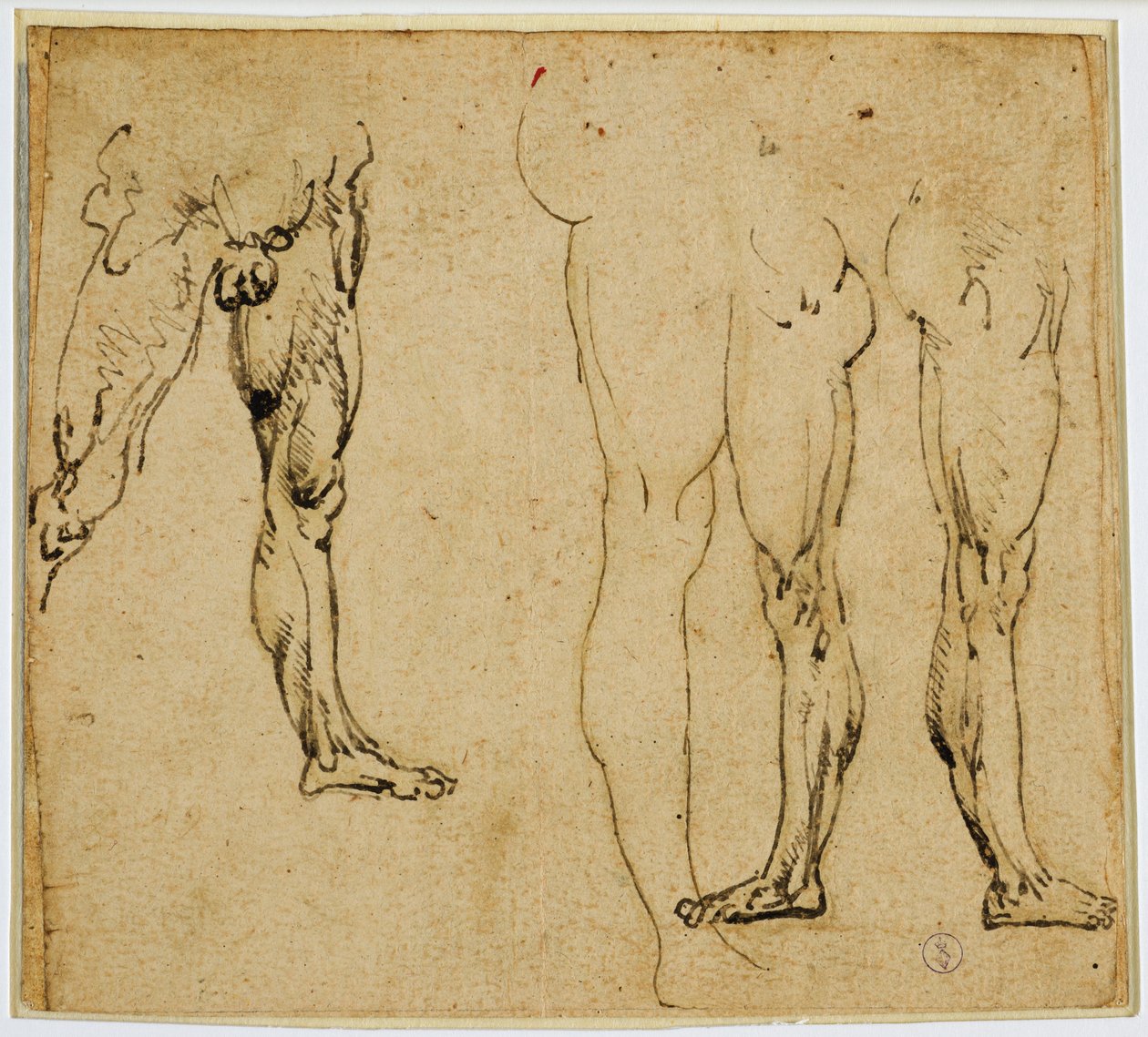 Studi di gambe maschili, c. 1485-1487 da Leonardo da Vinci