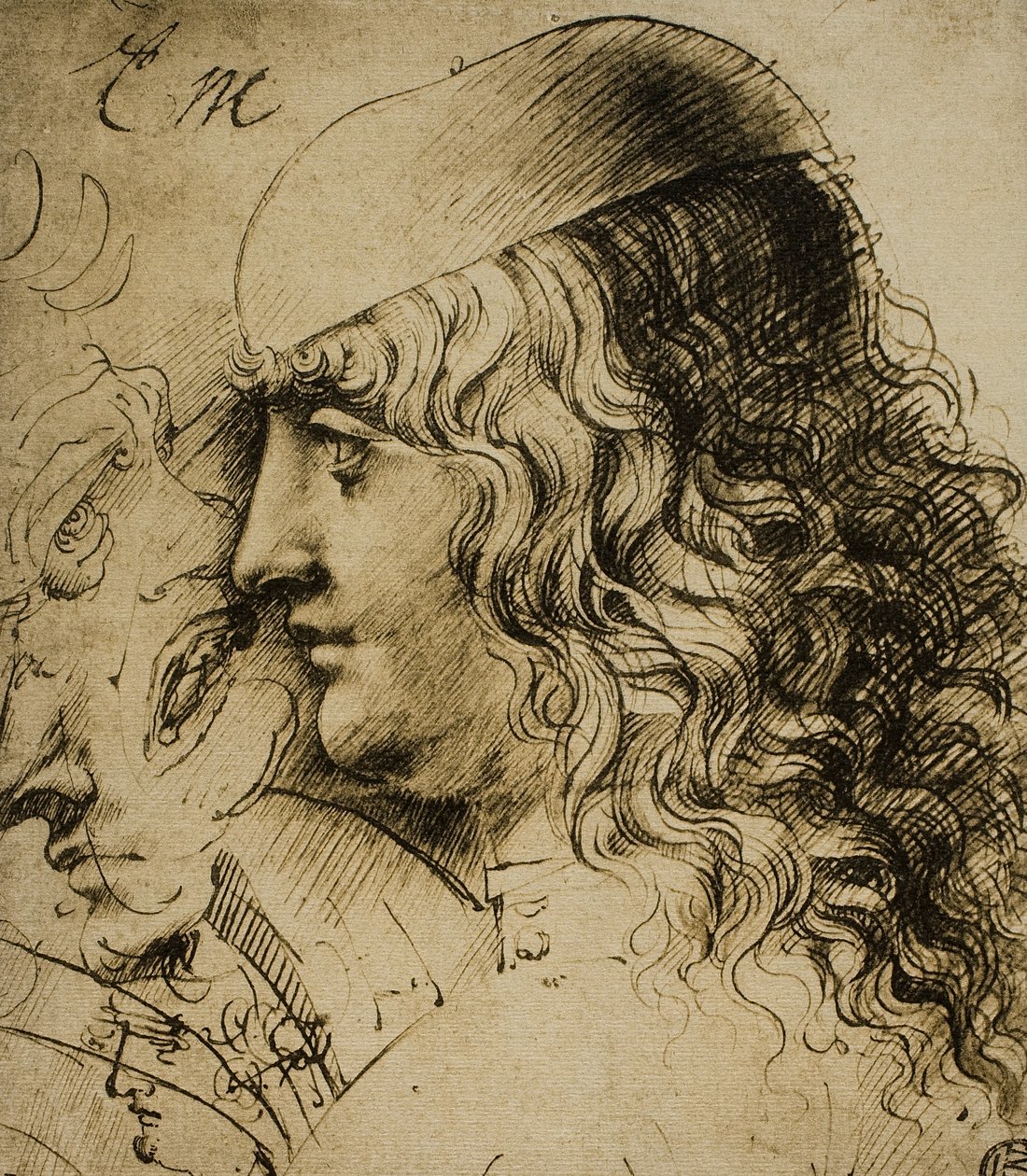 Studio di una testa maschile da Leonardo da Vinci