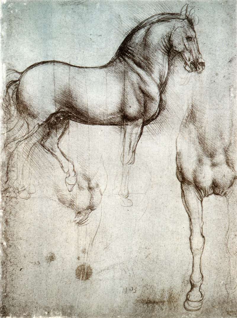 Studio di cavalli da Leonardo da Vinci